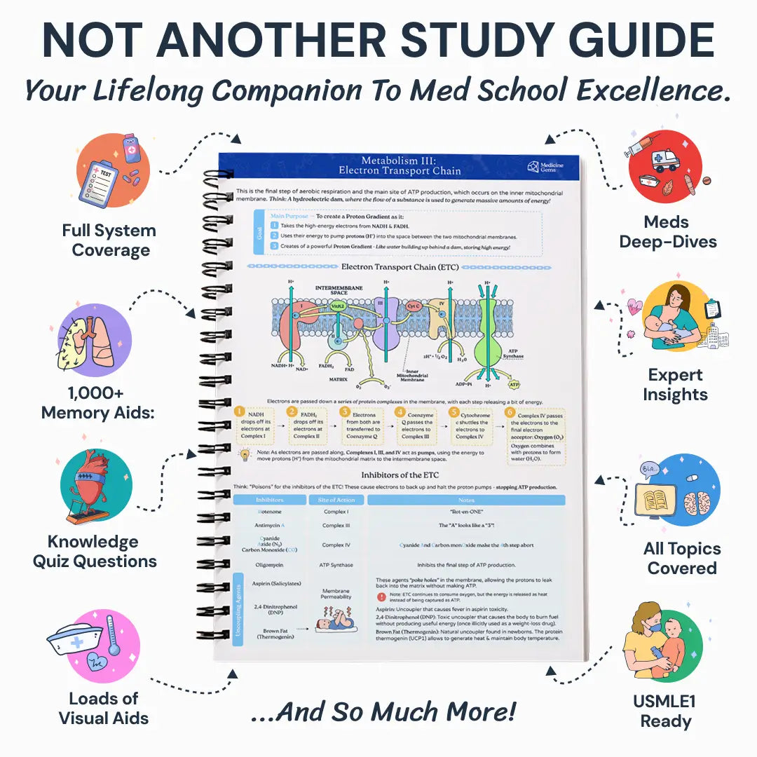 The Complete USMLE1 Success Handbook